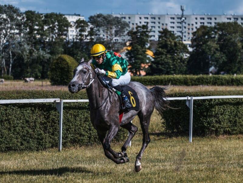 Top Horse Racing Betting Sites UK: Where to Bet for the Best Odds in 2025