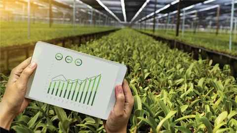 Revolutionizing Farming: The Role of Smart Agriculture in the 21st Century