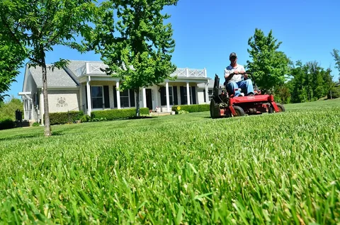 Seasonal Yard Maintenance Near Me for a Well-Kept Lawn